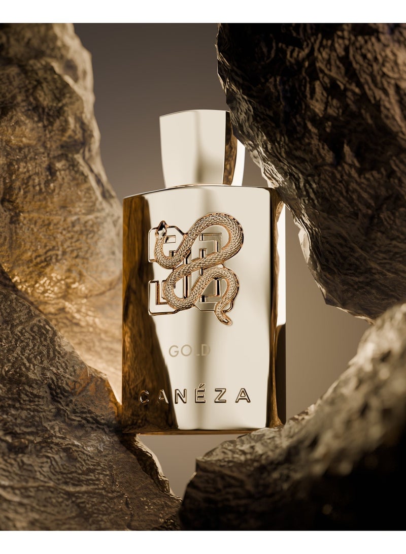 Canéza The Modern Man Duo – UOMO (Citrus, Spicy Musk, Woods) + Gold Intense (Saffron, Amber, Woods) 100ML Each | Long-Lasting EDP - Image 4